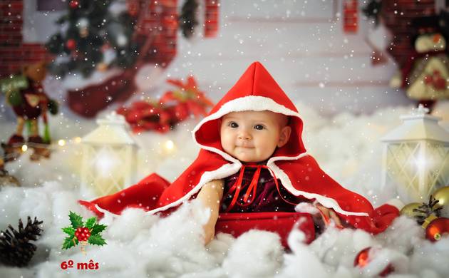 Acompanhamento Bebê de Livia - Trimestral 