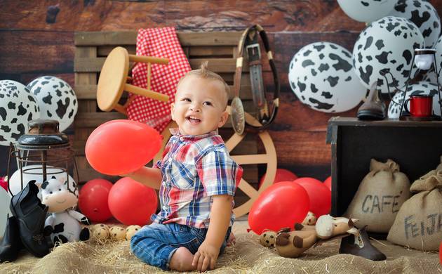 Tematicos de Bernardo/ Tema Fazendinha