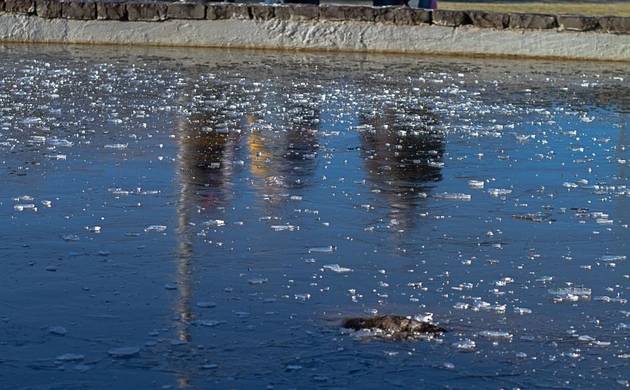 Fotojornalismo de Frio na Serra 2018