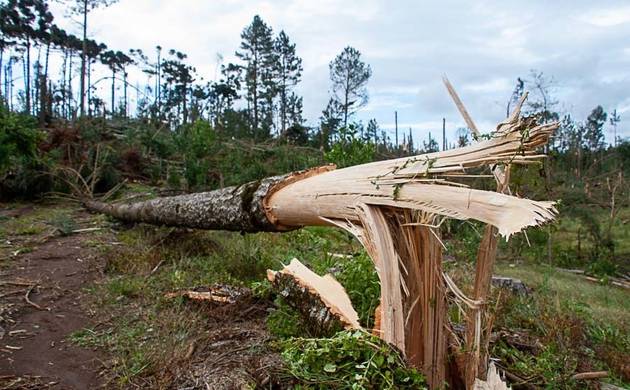 Fotojornalismo de Tornado Xanxerê 2015