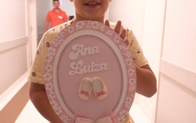 PARTOS / CESÁREAS de Nascimento Ana Luiza Calderolli da Silva - 23 de Abril de 2019
