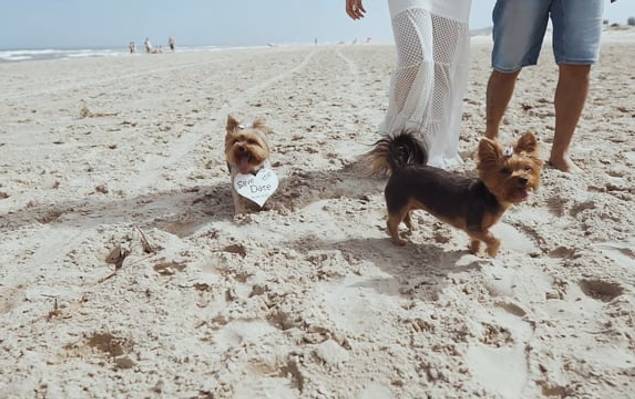 Pré-Wedding de Fernanda e Claudio Ensaio Pré Wedding Filme