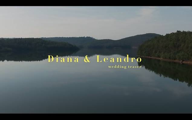 Wedding Teasers  de Diana & Leandro