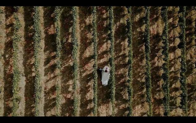 Vídeo de SDE : MARTINHA & PATRICK