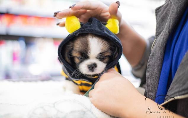 Portfólio Empresarial de Pererinha Agropecuária