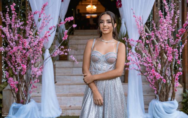 Aniversário 15 anos de Ana Lívia