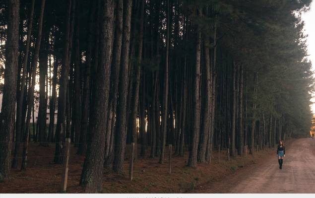 Ensaios  de ÉRICA - VERDADE EM TONS VERMELHOS