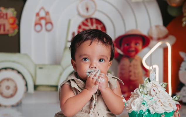 SMASH THE CAKES de DAVI | SMASH THE CAKE | SAFARI