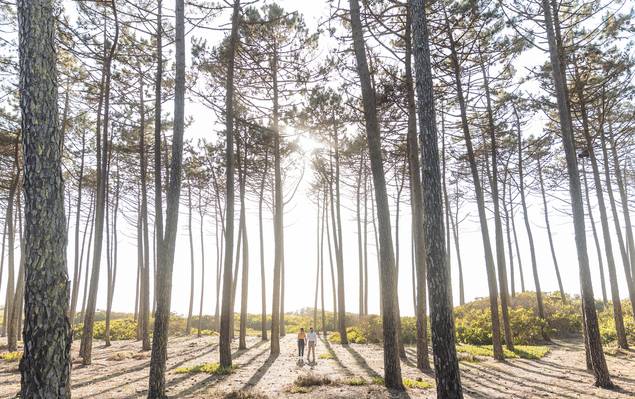 SESSÃO DE SOLTEIROS de ROSÁLIA E FÁBIO