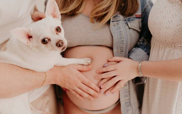 Gestante de A espera por Bernardo