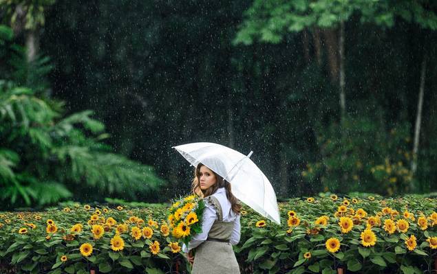 15 Anos de Ensaio de 15 anos no Hemero Joinville SC | Isabelli Santos