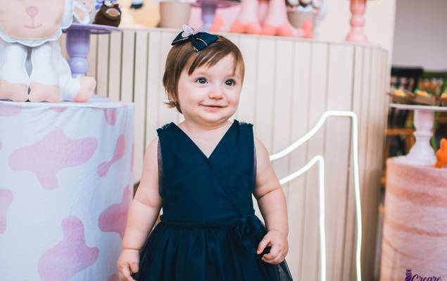 Eventos de Fazendinha da Manu