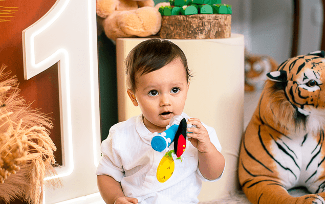 Aniversário infantil de NOAH - 1 ANO