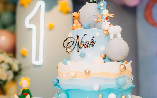 Aniversário infantil de Noah - 1 aninho 