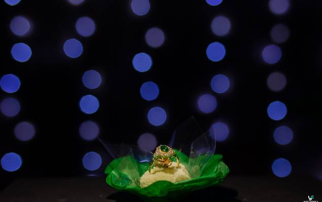 Formatura de Formatura Vanessa e Débora