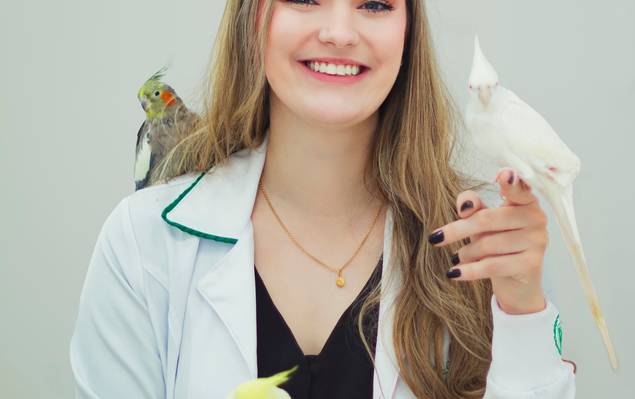 Ensaio Corporativo de Natasha 