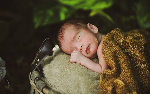 Newborn de EDUARDO E FAMILIA