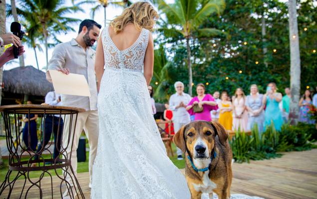 Casamento de Henrique & Giovana