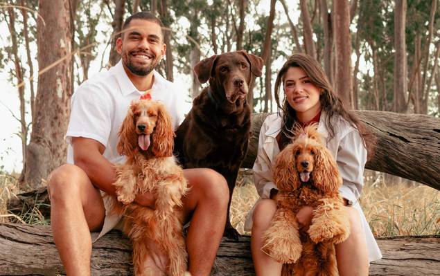 Pet e família  de família 4 patas