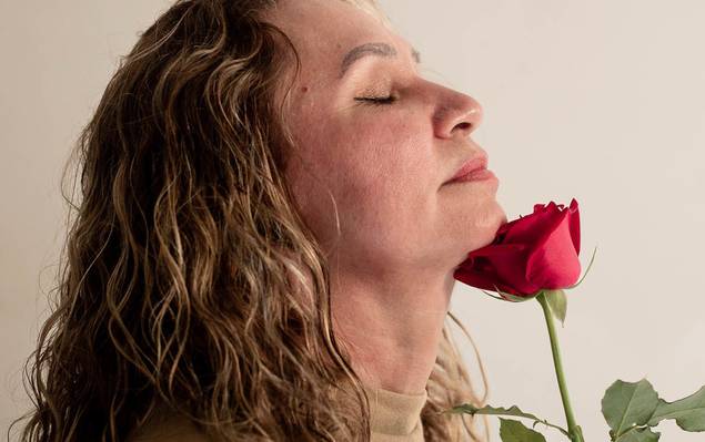 Ensaios de Vera Lucia