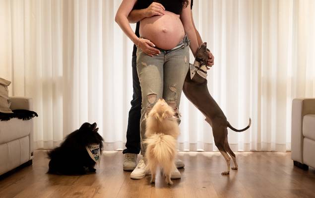 Gestante de A espera da Laura