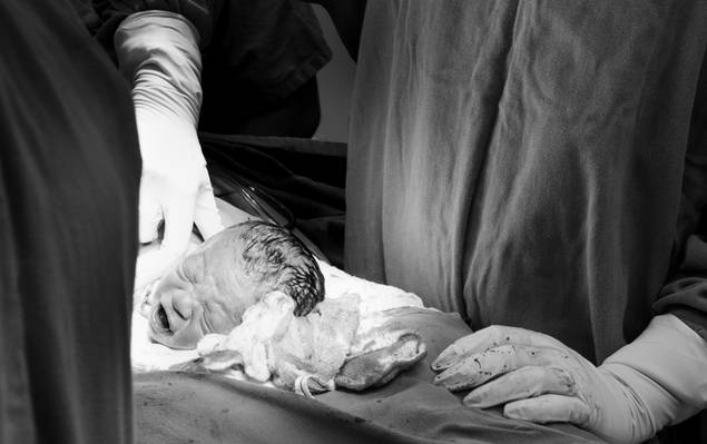 Parto de A chegada do Dom