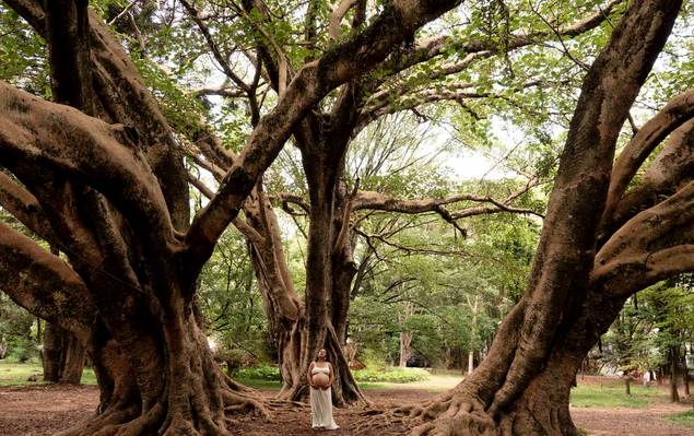 Gestante de A espera da Ana