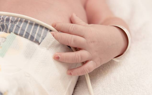 Parto de A chegada do Pedro