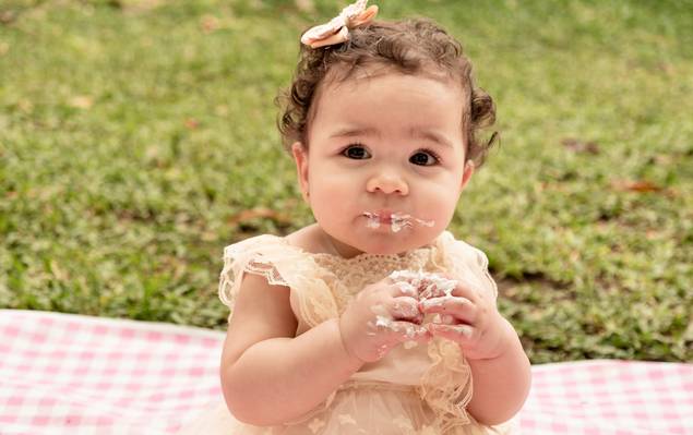 Familia de Celebrando 1 ano da Sophia