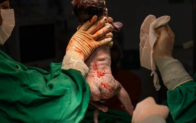 família de a chegada de Otto