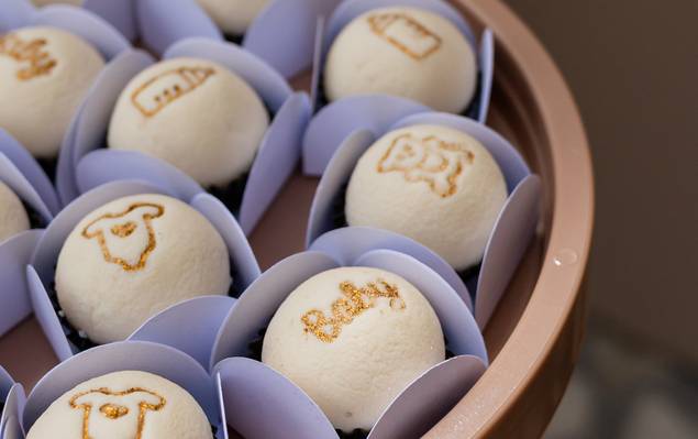 família de Chá Revelação Antonella