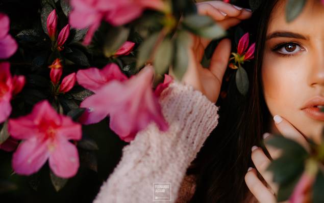 Book de Beatriz