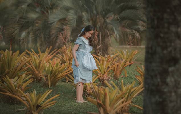 Infantil de Clara no país das maravilhas