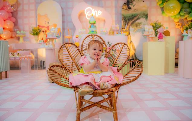 Festa infantil de RUBI 1 ANINHO