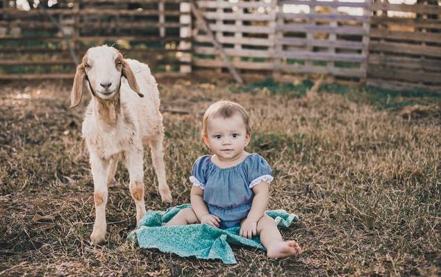 Infantil / Acompanhamento  de Sophia - Ensaio na fazenda