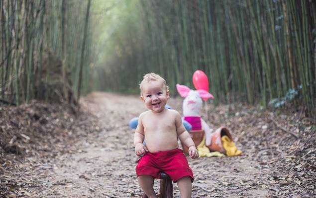 Infantil / Acompanhamento  de Pedro - 01 ano 