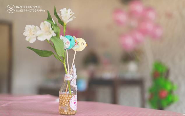 aniversário de Aniversário da Alice, 1º Aninho