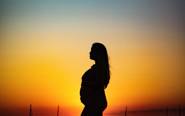 Gestacional  de Alicia e Djair 