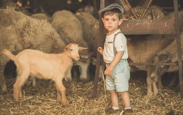 Sessões Fotográficas de Grávida de Martim