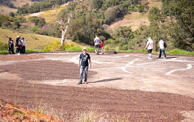 Corporativo de Fazenda Campo Místico