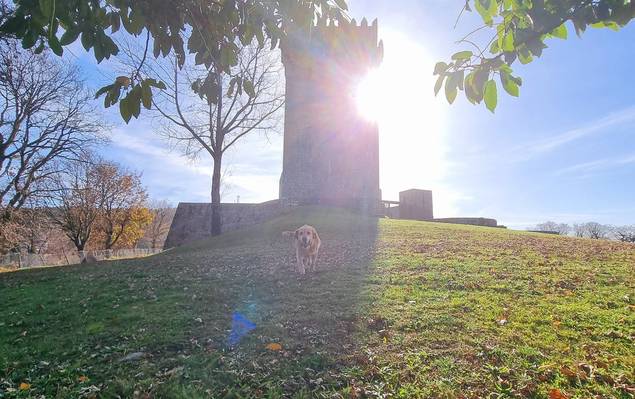 Família de Fall in Portugal