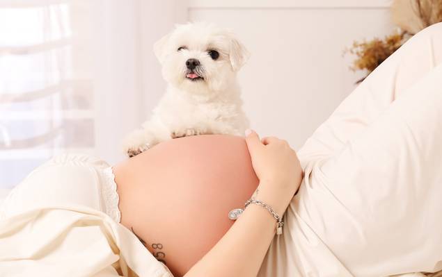 Gestante de Gabriela ♥