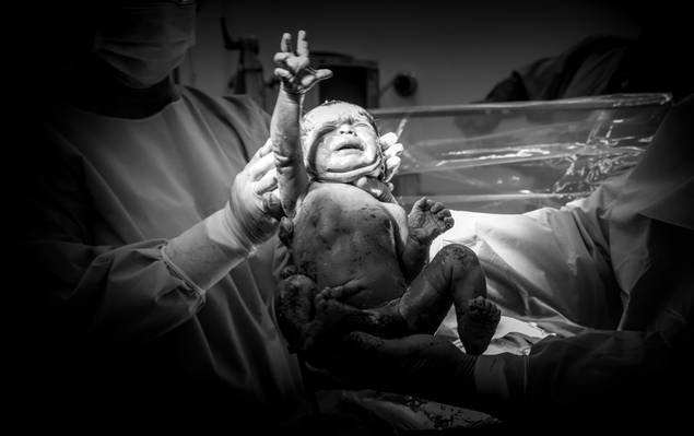 Fotografia de Parto de Nascimento Sophie