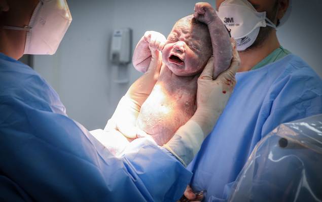 Fotografia de Parto de Nascimento Ravi