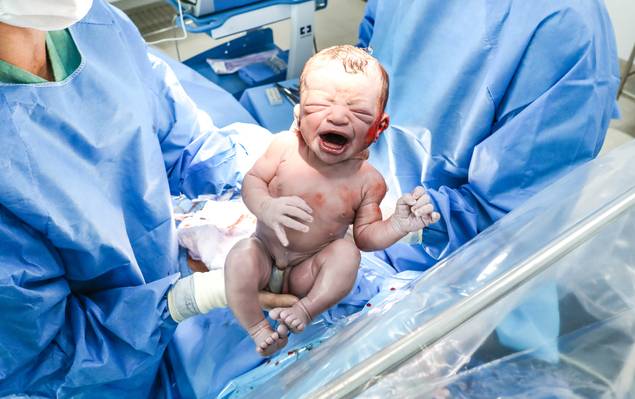 Fotografia de Parto de Nascimento Isabel