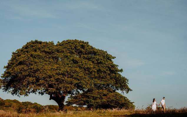 PRÉ WEDDING de Milena e Carlos Henrique 
