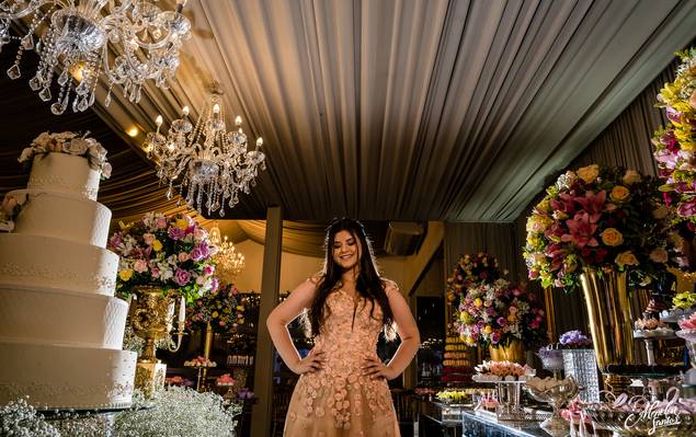 15 ANOS de Yasmin : : 15 anos