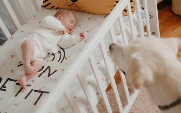 SESSÕES de NEWBORN LIFESTYLE