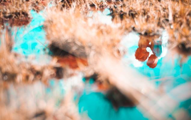 Victor Assis Fotografia de Pré Wedding - Eliane & Jonas 