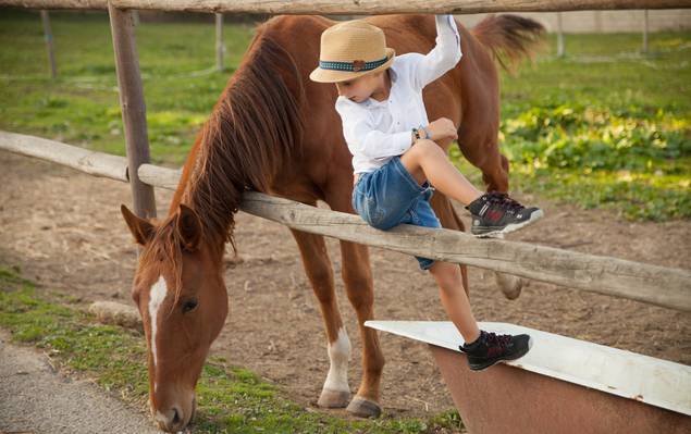 INDIVIDUAIS de Samuel